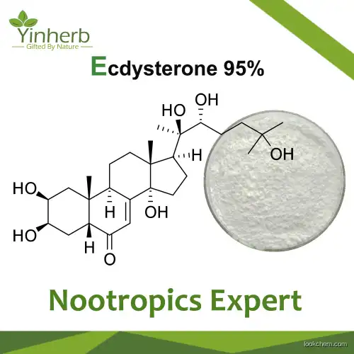 Wholesale Pure Bulk 95% Beta Ecdysterone or 20-Hydroxyecdysone or 20-Hydroxy Ecdysterone Powder with Best Price