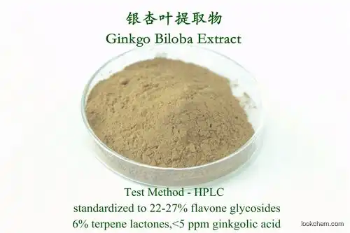 Ginkgo biloba extracts
