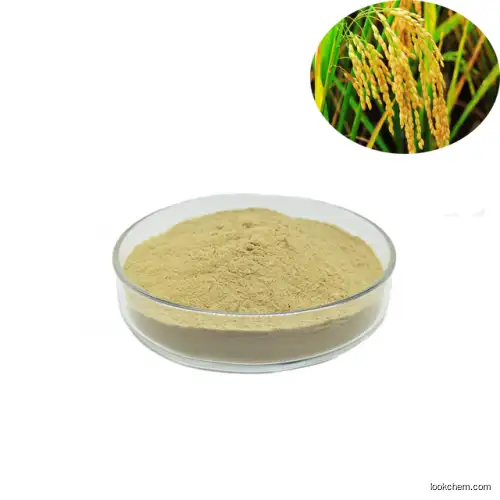 High Quality 100% natural Rice Bran Extract Ceramide powder