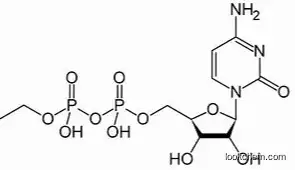 Nootropic Powder 99% Citicoline, CDP choline/CAS:987-78-0 CDP-choline