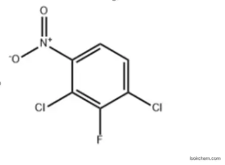 2,4-Dichloro-3-fluoronitrobenzene(393-79-3)