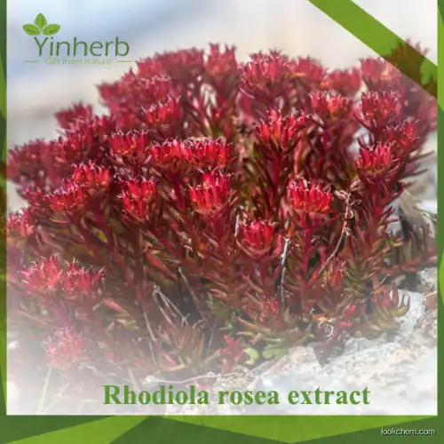 HPLC Test Salidroside Ingredients Rhodiola Rosea Extract