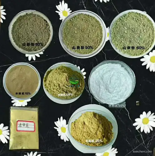 Yinherb Supply Bulk Baikal Skullcap Root Extract Baicalin 85% Raw Powder