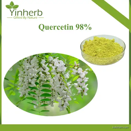 High Quality Sophora Japonica Extract Quercetin 98%/Quercetin Powder/Quercetin Capsules