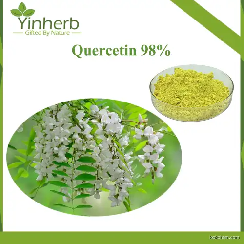 Yinherb Bulk Supply Natural Extract Quercetin 95% Raw Powder