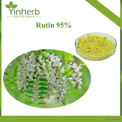 Bulk Price Natural Sophora Japonica Extract 95% Rutin NF11 Raw Powder