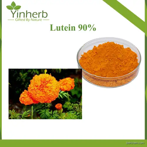 Yinherb Supply Food Grade Marigold Flower Extract Powder 90% Lutein Raw Powder