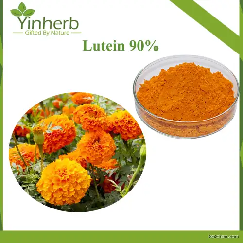 High Quality Marigold Flower Extract 60% Zeaxanthin 80% Lutein Raw Powder