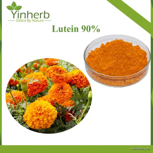 Yinherb Supply Food Grade Marigold Flower Extract Powder 90% Lutein Raw Powder