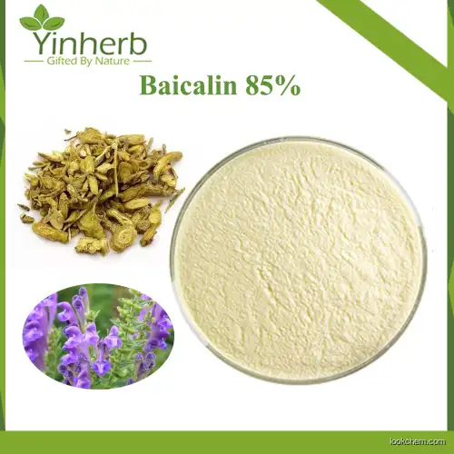 Natural Baicalin 85%/Scutellaria Baicalensis Extract 30%, 50%, 75%, 80%, 85%, 90% HPLC