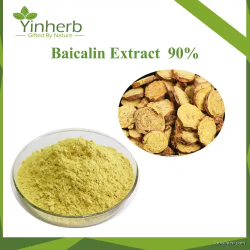 Yinherb Supply Bulk Baikal Skullcap Root Extract Baicalin 85% Raw Powder