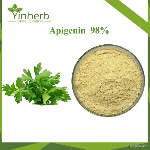 Yinherb Supply Natural Celery Extract 98% Apigenin CAS 520-36-5 Raw Powder