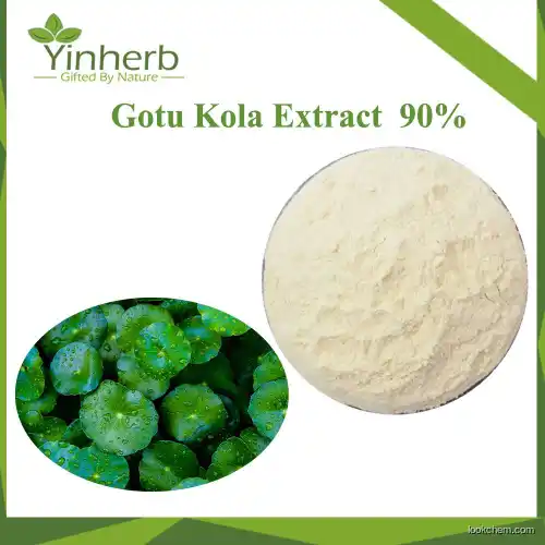 Yinherb Supply Natural Gotu Kola Extract/Centella Hydrocotyle Asiatica Extract/Asiaticoside/Asiatic Acid