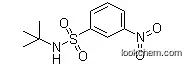 Lower Price N-Tert-Butyl-3-Nitro-Benzenesulfonamide