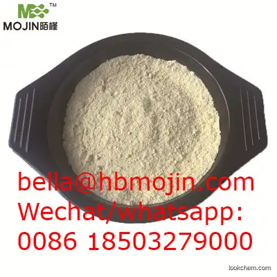 Factory supply 95% extract powder CAS 458-37-7 Curcumin