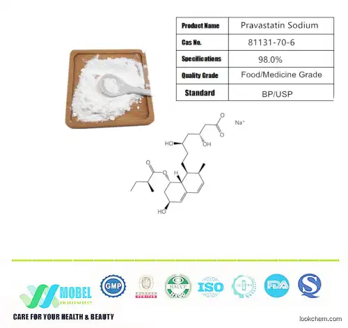 GMP High purity Antihyperlipidemic drugs Pravastatin sodium/Pravastatin CAS 81131-70-6 BP EP Standard