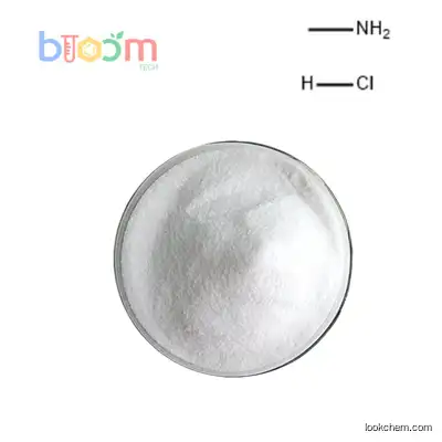 CAS 593-51-1 Methylamine hydrochloride(593-51-1)