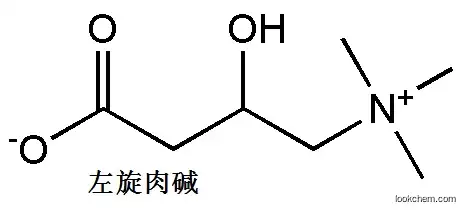 medical bulk raw material API L-Carnitine EP pharma grade China origin