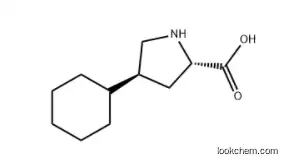 trans-4-Cyclohexyl-L-proline