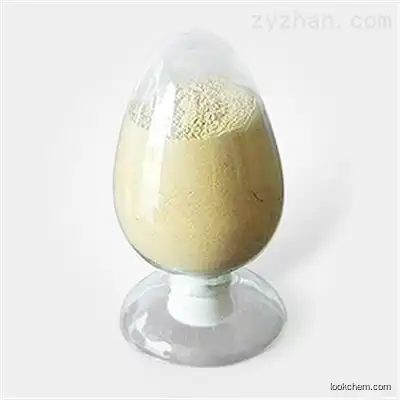 Factory Supply Catalase Food Grade 100 000 Catalase Enzyme Powder