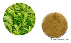 Tea polyphenol