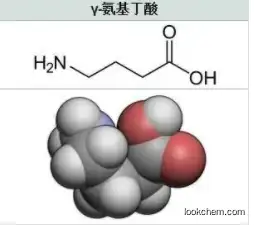 Gamma-Amino butyric acid  GABA