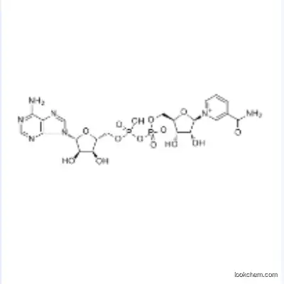 CAS 53-84-9 beta-Diphosphopyridine nucleotide