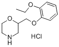 Viloxazine Hydrochloride