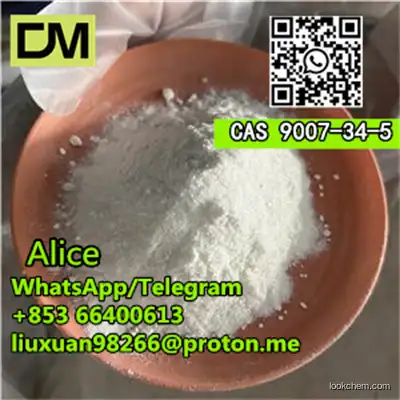 Hot Sale Stock CAS 9007-34-5 Collagen 