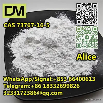 CAS 73767-16-5 METALLOTHIONEIN I 