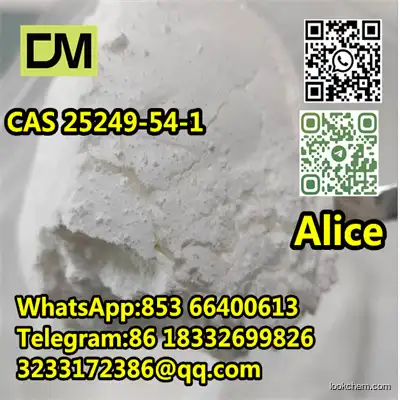  CAS 25249-54-1 Polyvinylpyrrolidone cross-linked