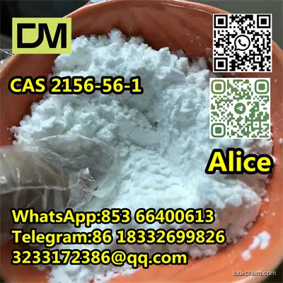 CAS 2156-56-1 Sodium Dichloroacetate