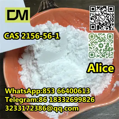 CAS 2156-56-1 Sodium Dichloroacetate