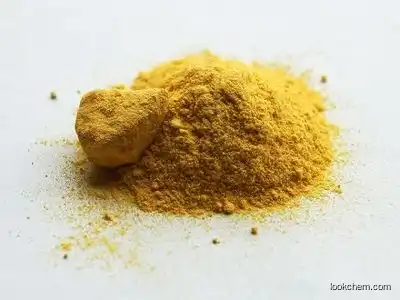 Light Yellow Powder Ferrous oxalate CAS 516-03-0 iron(II) oxalate