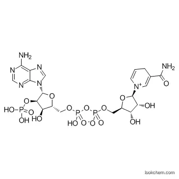 CAS 53-59-8 cozymaseii 