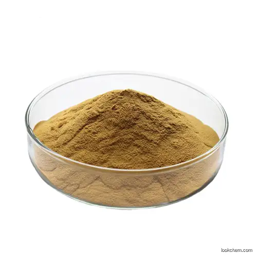 Ginkgo Biloba Extract(90045-36-6)