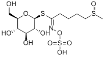 GLUCORAPHANIN