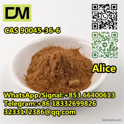 CAS 90045-36-6 ginkgo biloba extract