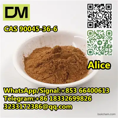 CAS 90045-36-6 ginkgo biloba extract