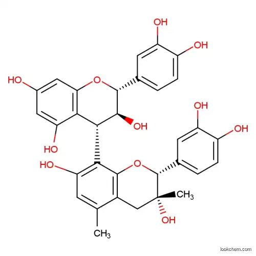 Grape Seed Extract