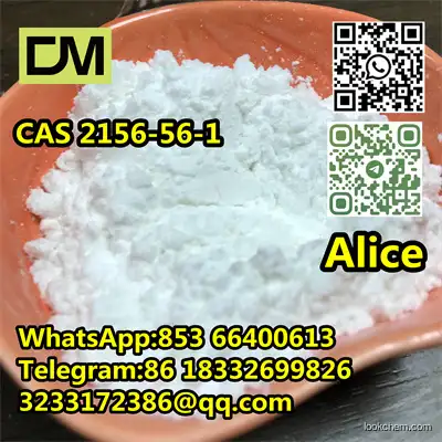 CAS 2156-56-1 Sodium Dichloroacetate