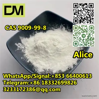 CAS 9009-99-8 SILK POWDER 