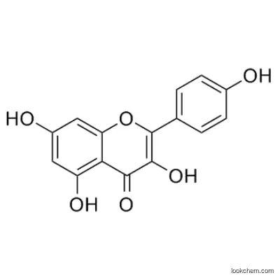 Kaempferol