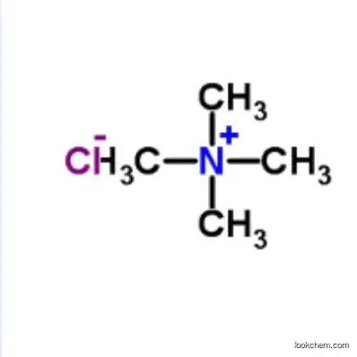 CAS 75-57-0 Tetramethylammonium chloride