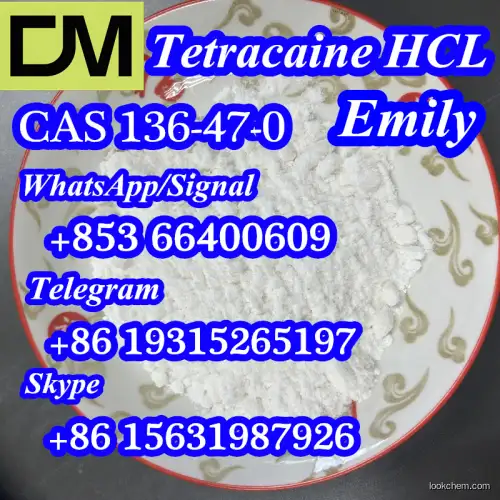 CAS 136-47-0 Tetracaine hydrochloride