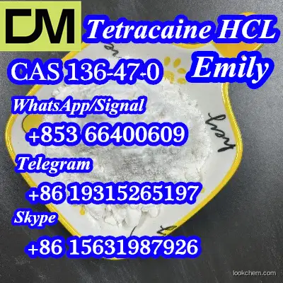 CAS 136-47-0 Tetracaine hydrochloride