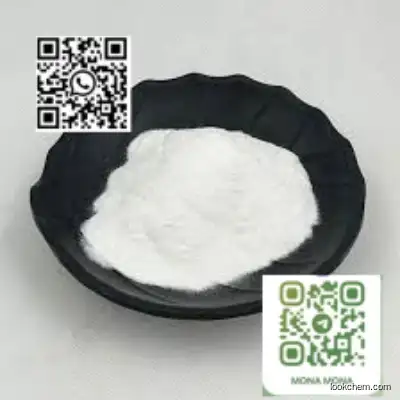 SODIUM POLYGLUTAMATE