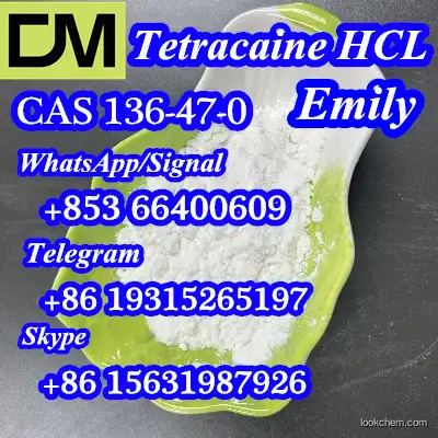 CAS 136-47-0 Tetracaine hydrochloride