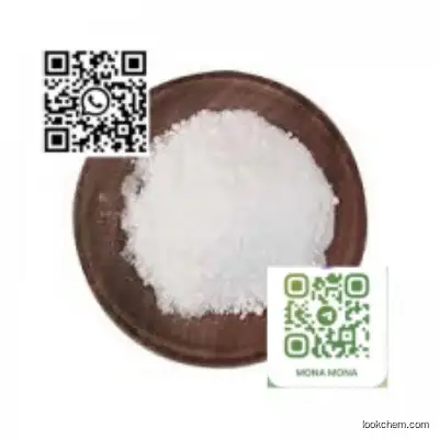 SODIUM POLYGLUTAMATE