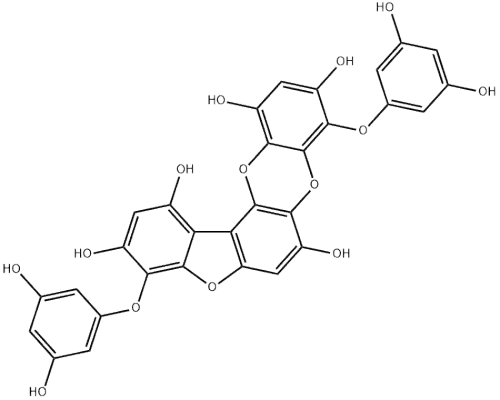 phlorofucofuroeckol A